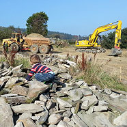 Dump trucks and diggers are another favourite