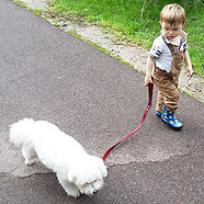 Walking with Grandma's dog Fluffy