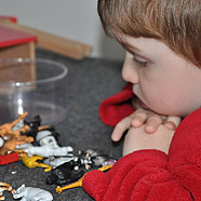 But what's the deal with these animals