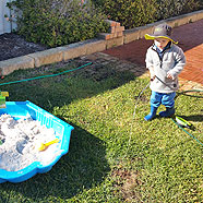 Playing at Nanna's house