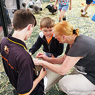 Patting a chicken with Grandma