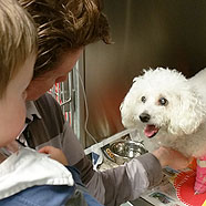 Visiting Fluffy at the vet, she died the following day